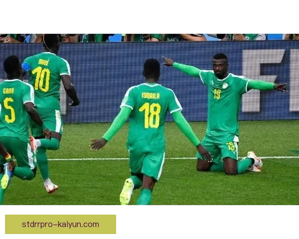 非洲足球未来前景不断提升，青训体系与国际赛事支持推动发展趋势显著